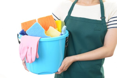 Professional domestic cleaning in a Belgravia townhouse