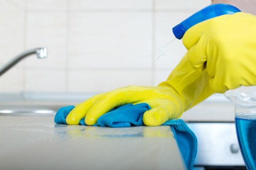 Spot treatment and deodorizing for mattress cleaning