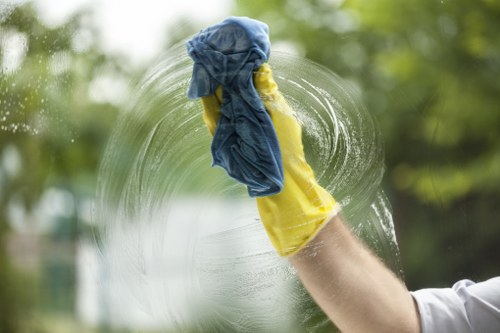 Close-up of stain treatment during sofa cleaning