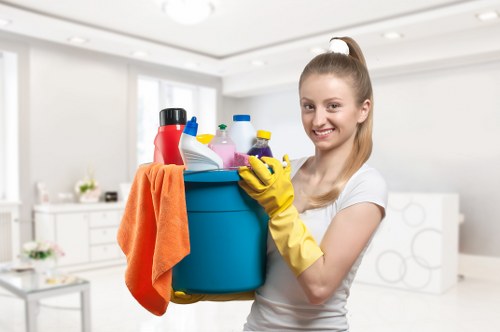 Final polish during after builders cleaning in a renovated property