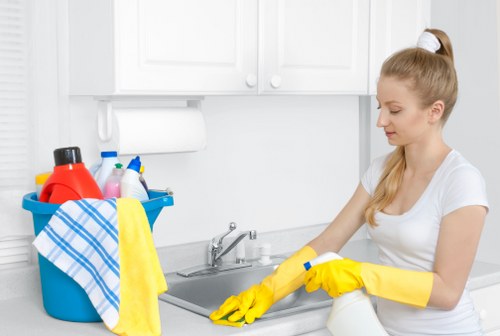 Essential cleaning tools and eco-friendly products for house cleaning
