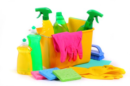 Bathroom disinfected as part of move in cleaning